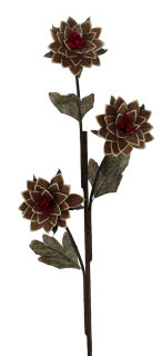 Spanholzblume 3-blütig, Löwenzahn, braun