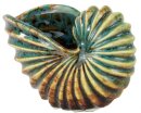 Muschel, Keramik, 10,8x5,6x7,6cm