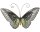 Wandbild Schmetterling, Metall, 40x21,5x4,5cm