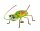 Käfer mit Magnet, Metall, 7,5x5x10,5cm